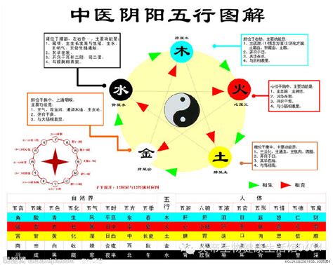 金土相生|五行相生相剋:五行,四季五行,相生相剋,概念對應,五行。